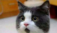 不慌！最后60天抢分方案，再忙也要看！(阅读/作文/完型/救命技巧)