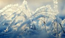 冬至的作文100字