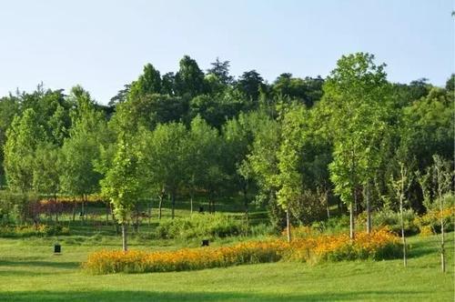 建设高原环保生态机场的植被恢复及绿化景观技术探析论文