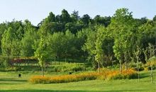 建设高原环保生态机场的植被恢复及绿化景观技术探析论文