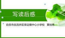 部编版语文五年级读后感 老师下水文和学生例文