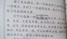 第一次做饭 我为爸妈做顿饭300字作文