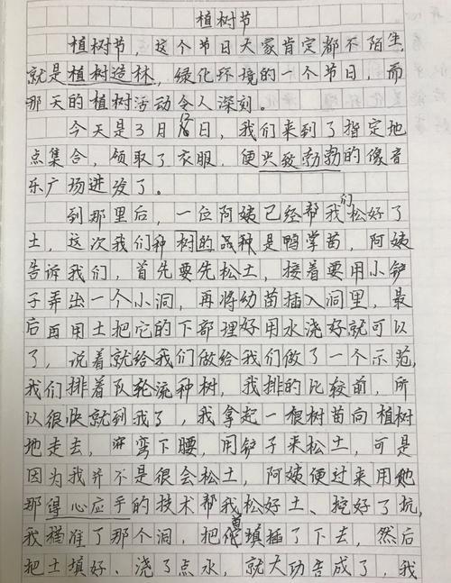 快乐的植树节300字作文