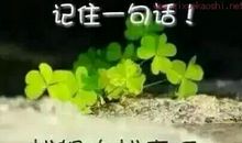 没想到我如此不可一世 虚心生活900字作文