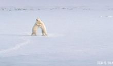 六年级作文：感动