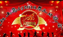 一次难忘的元旦庆祝会 元旦晚会作文400字