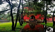 「优秀作文系列」美在不期而遇