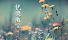 六年级散文:日月天