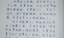 流泪是为了什么-那一次，我哭了作文800字