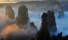 林清玄散文选读后感范文