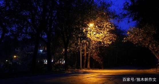 四年级作文：独自走夜路