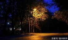 四年级作文：独自走夜路