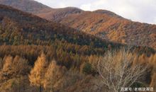 雅思大作文如何写好结尾？