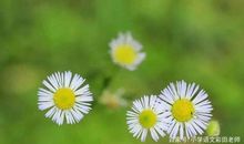 告别空话，教你把文章写具体，这样做很简单（小学生作文训练）