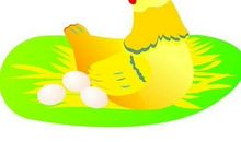 三年级作文：母鸡奇遇记