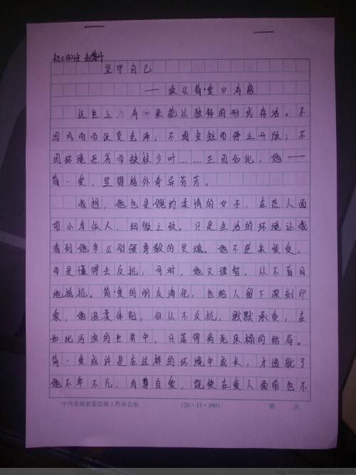 人的价值＝尊严+爱-读《简爱》有感700字