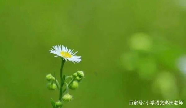 告别空话,教你把文章写具体,这样做很简单(小学生作文训练) 2
