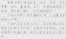 西瓜的启示 六年级叙事作文900字