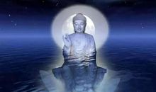 11岁小学生“佛系作文”走红： 也许，我并不需要考哈佛北大