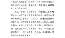 童年的恶作剧 七年级童年的恶作剧作文600字