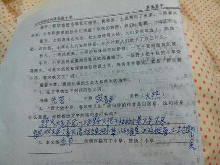 小草 赞美小草的作文400字