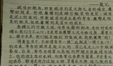 2001年广东高考优秀作文：丢掉“诚信”的背囊之后_1200字