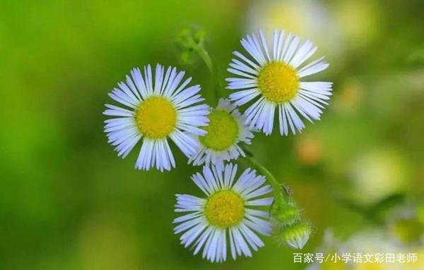 告别空话,教你把文章写具体,这样做很简单(小学生作文训练) 5