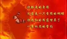 那一片枫叶-难忘的记忆作文500字