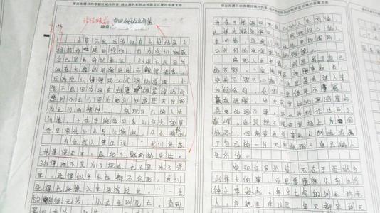 蝗虫 校园故事作文800字