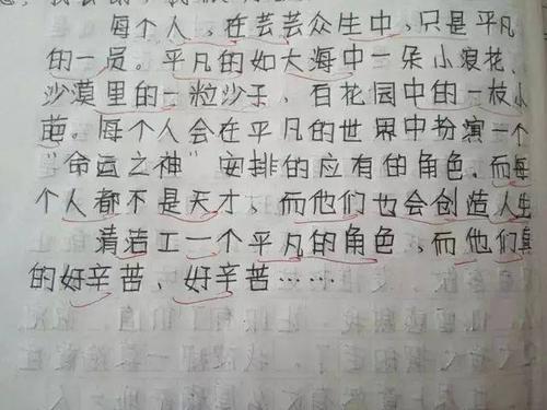 平凡中的发现 关于清洁工的作文500字
