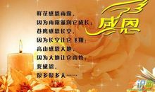 感恩老师-小学记叙文400字