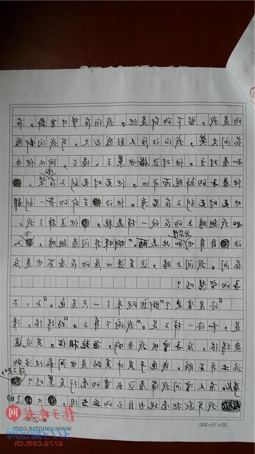 王奶奶的“美学三论”-关于垃圾分类的作文1200字