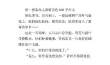 月色 初三作文600字
