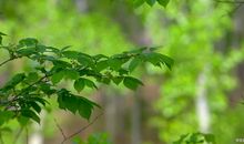 学生作文｜疫情中的逆行者