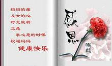 妈妈是湖我是鱼-感恩母亲节作文700字