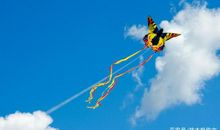 五年级作文：风筝