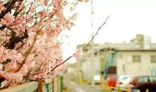 【五年级优秀同步作文推荐榜】张博琛/旭日教育五年级作文班