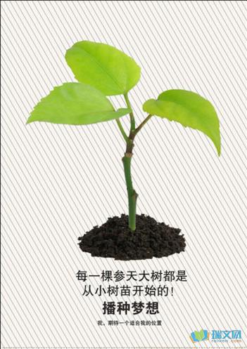 我与小盆栽作文