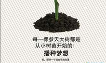 我与小盆栽作文