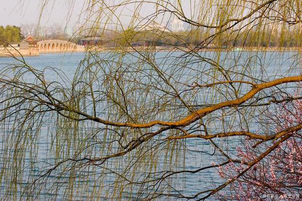 彩色作文：《春天的主人》，是谁将春天装扮得如此完美？ 3