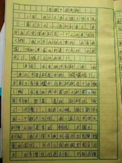 我心中的新城学生作文