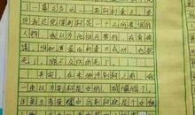 我心中的新城学生作文