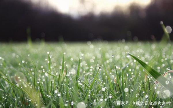 高考作文辅导66:民族凝聚 同心同圆(电视节目主持人身份) 2