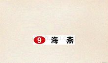 风雨之搏-海燕的自述作文400字