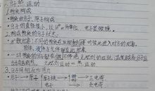 关于九一八事变的作文：写在“九.一八”_450字