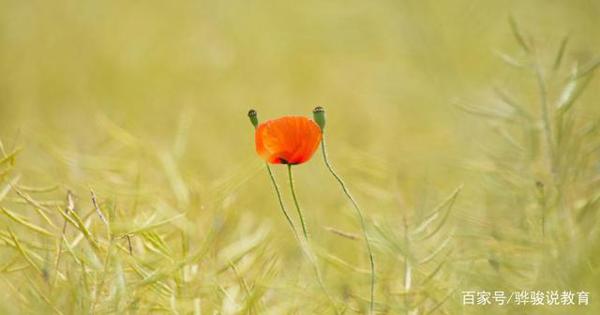 彩色作文：《春天的主人》，是谁将春天装扮得如此完美？ 1