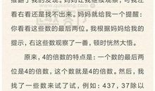 数学王国之边关查合记优秀作文600字