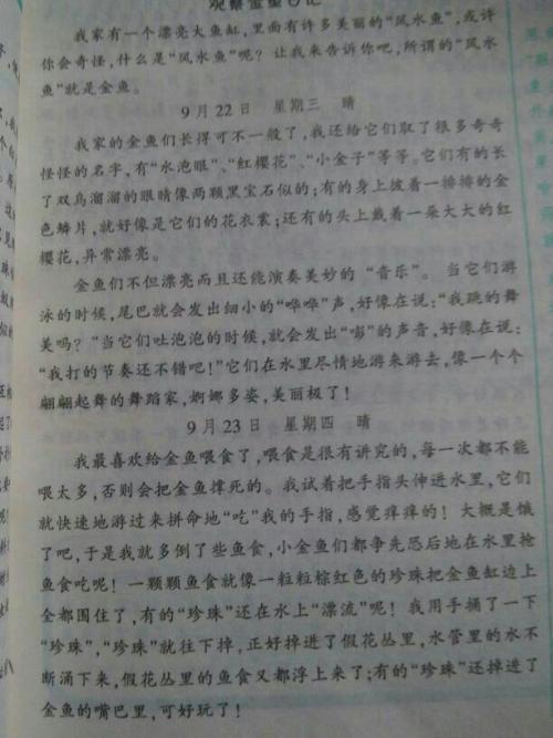 写一篇观察日记100字：红薯生长记