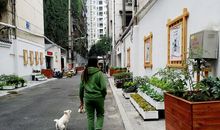 七年级下学期作文《熟悉的小街》作文及写作思路分析