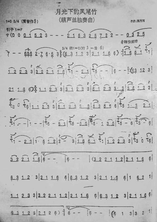 六年级月光下的村庄铁蛋作文500字